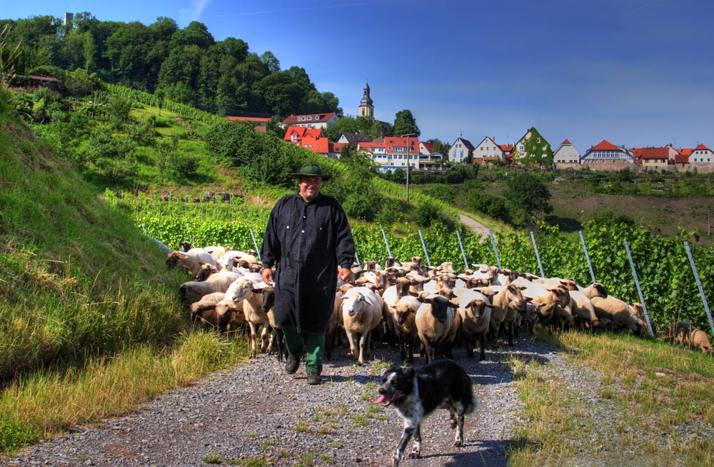 Löwenstein